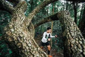 BIB: 
                            <button type="button" onclick="openModal(25394320)" class="btn btn-primary btn-sm float-right btn-popup" data-toggle="modal" data-target=".modal-high-quality">
                        <i class="fas fa-shopping-cart"></i> Add to Cart
                    </button>
                                            <button type="button" onclick="isThisMe(25394320, true)" class="btn btn-success btn-sm float-right btn-popup btn-isme hidden" data-toggle="tooltip" data-placement="bottom" title="นี่คือรูปของคุณใช่ไหม คลิกที่นี่เพื่อเอาเข้าอัลบั้ม">
                        <i class="fas fa-plus"></i> Add to album
                    </button>
                    <button type="button" onclick="isThisMe(25394320, false)" class="btn btn-warning btn-sm float-right btn-popup btn-isnotme hidden">
                        <i class="fas fa-ban"></i> Remove from album
                    </button>